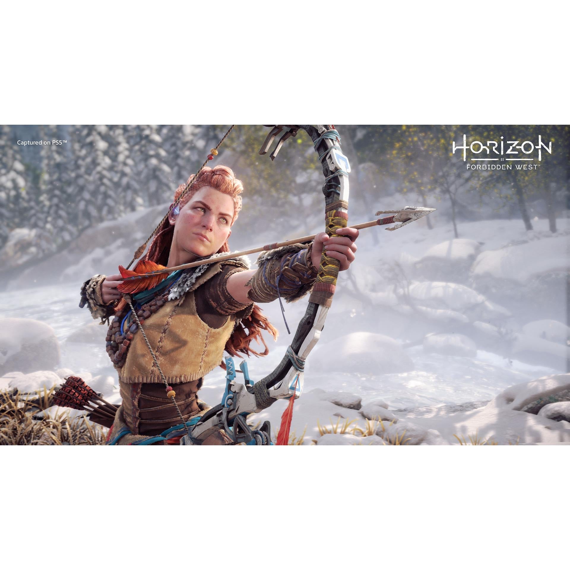 Horizon Forbidden West Special Edition